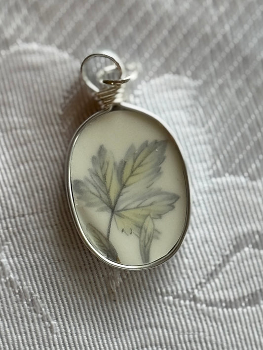 Silver Maple Oval — Soft Grey Leaves, Silver