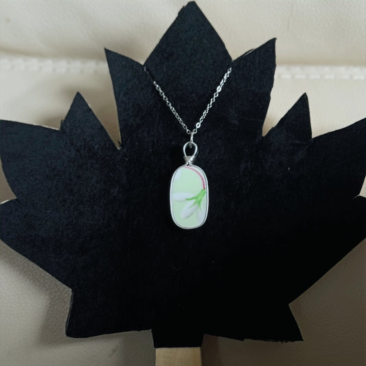 Laurentian Snowdrop - Green image 1