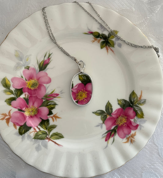 Prairie Rose